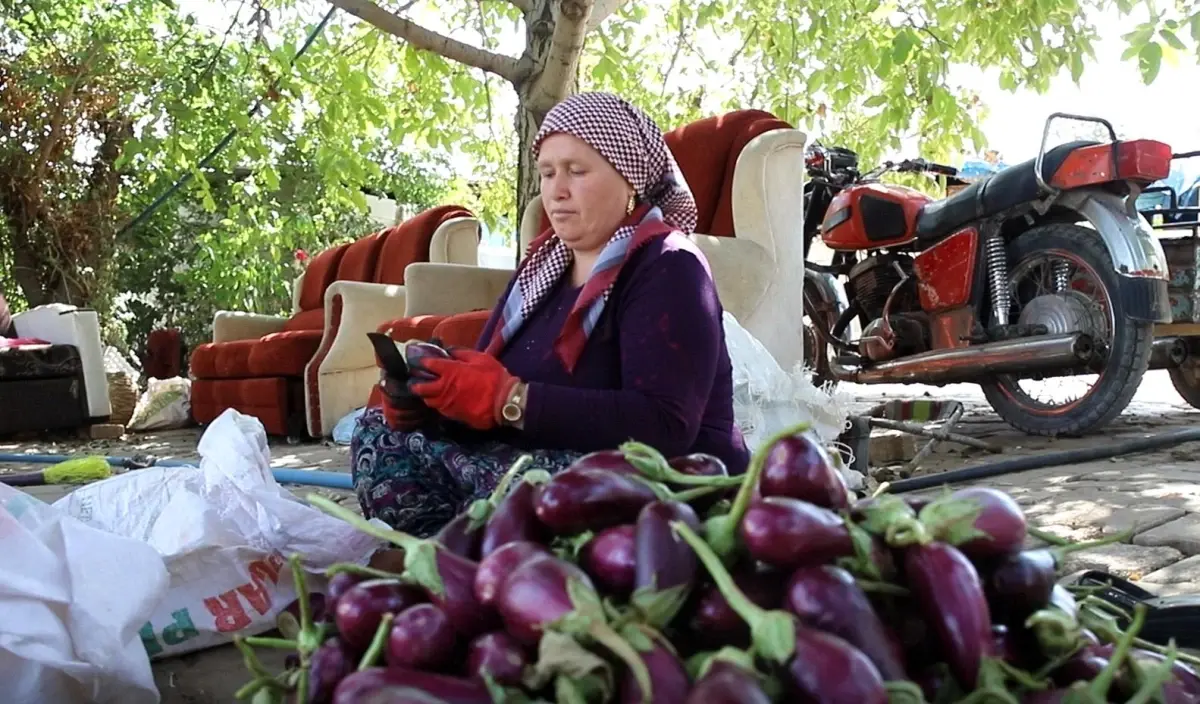 gaziantepte kis hazirliklari devam ediyor euqQxSaf