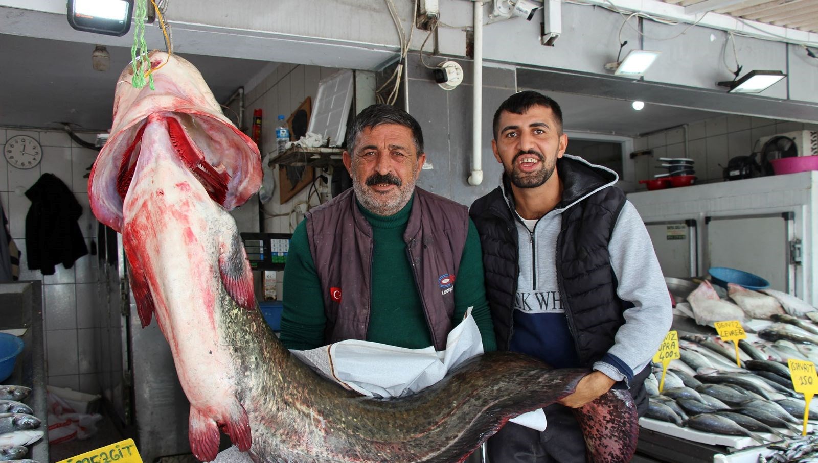 kilosu 250 liradan satisa sunuldu tam 85 kilogram agirliginda RA4XNWSl