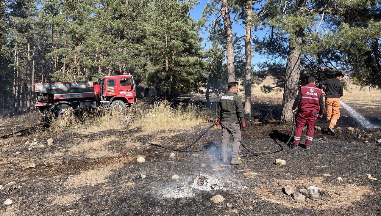 sarikamista cikan orman yangininda yaklasik 1 hektar alan zarar gordu 8HTKOghP