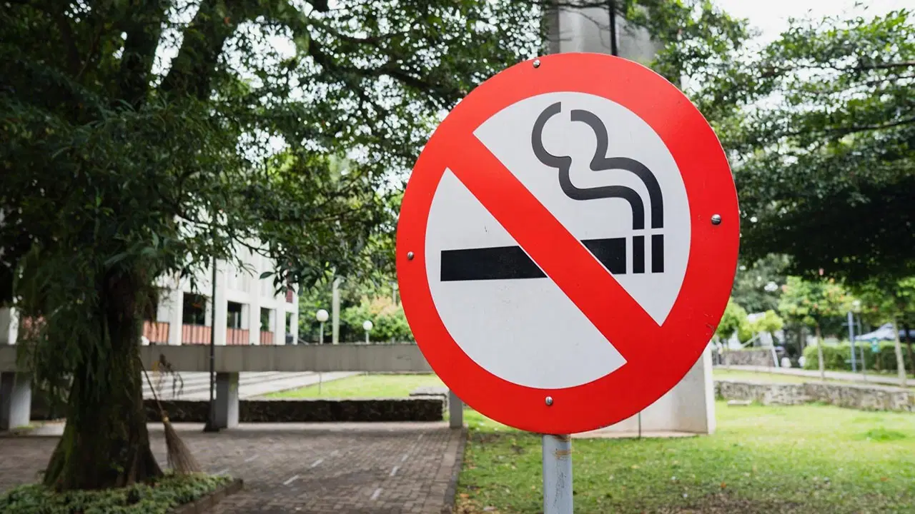 boluda cocuk parklarinda sigara icmek yasaklanacak 347Pfh7D.jpg